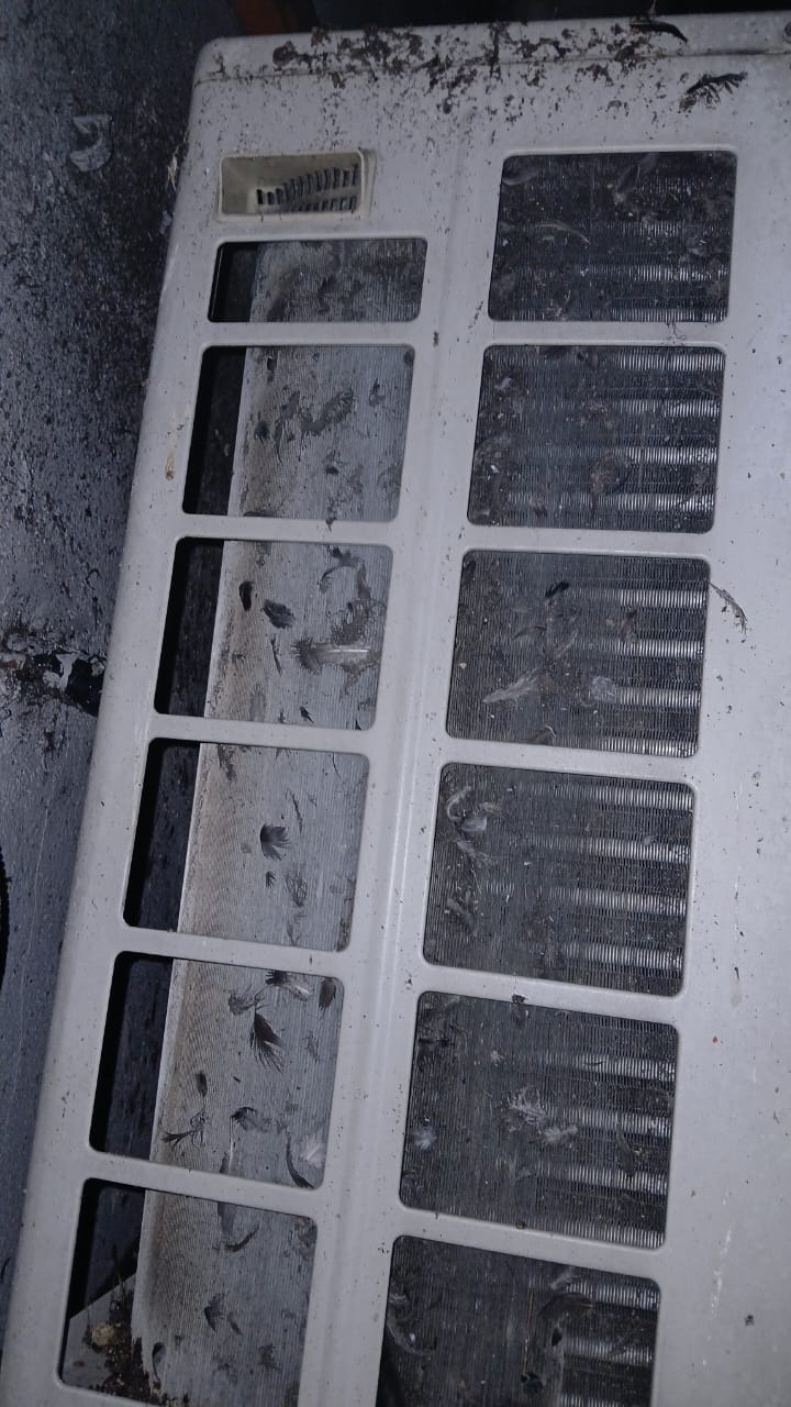 This write Indoor and outdoor aircond services throughout Klang Valley — WhatsApp Image 2026-08-13 at 11.43.04 PM (2)